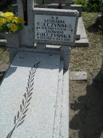Zdjęcie grobu 25/100