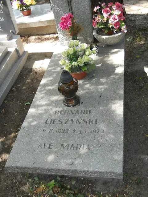 Zdjęcie grobu 6/24232