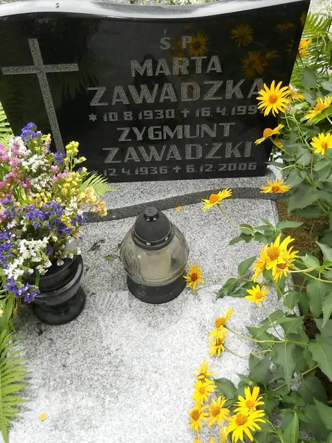 Zdjęcie grobu 5/22736