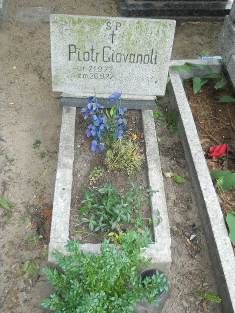 Zdjęcie grobu 13/29641