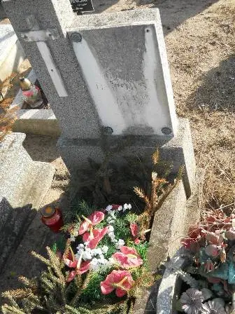 Zdjęcie grobu 100/100