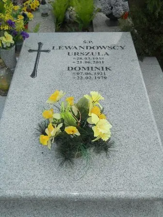 Zdjęcie grobu 42/196,196a