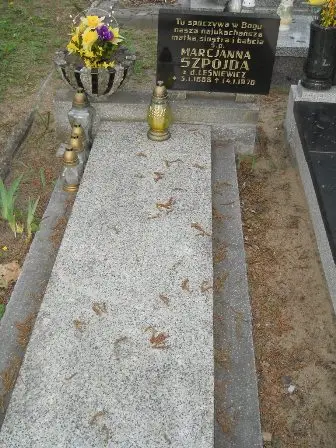 Zdjęcie grobu 33/100