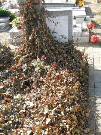 Zdjęcie grobu B/38