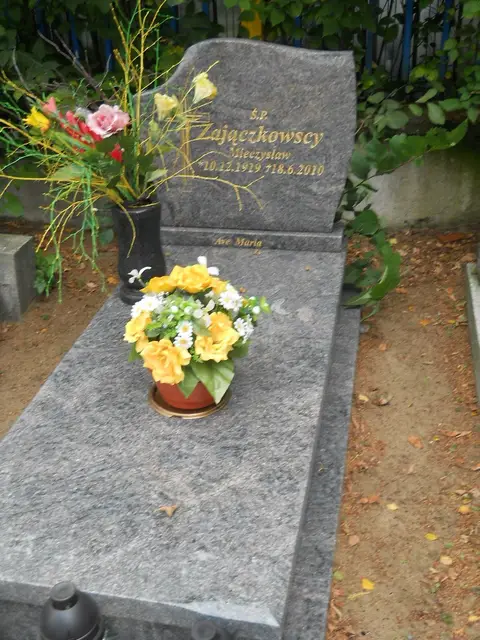 Zdjęcie grobu 16/25938