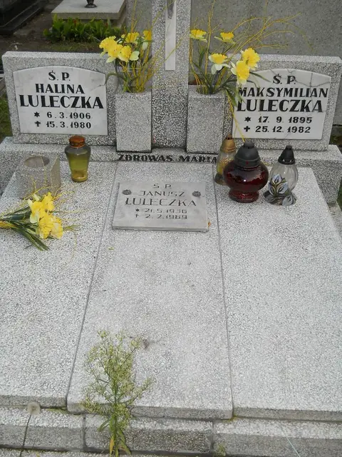 Zdjęcie grobu 14/26981