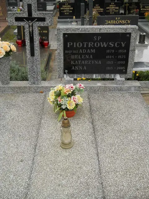 Zdjęcie grobu 9/24533