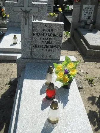 Zdjęcie grobu 28/100