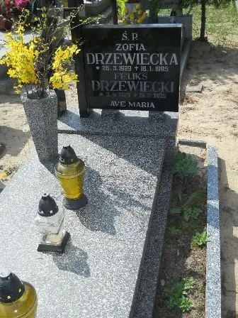 Zdjęcie grobu 34/100