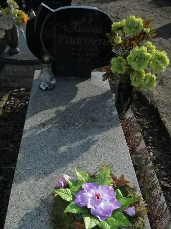 Zdjęcie grobu 6a/1a