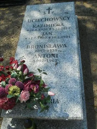 Zdjęcie grobu 30/100