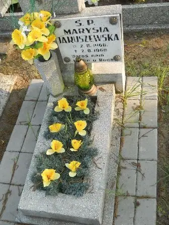 Zdjęcie grobu 32/100