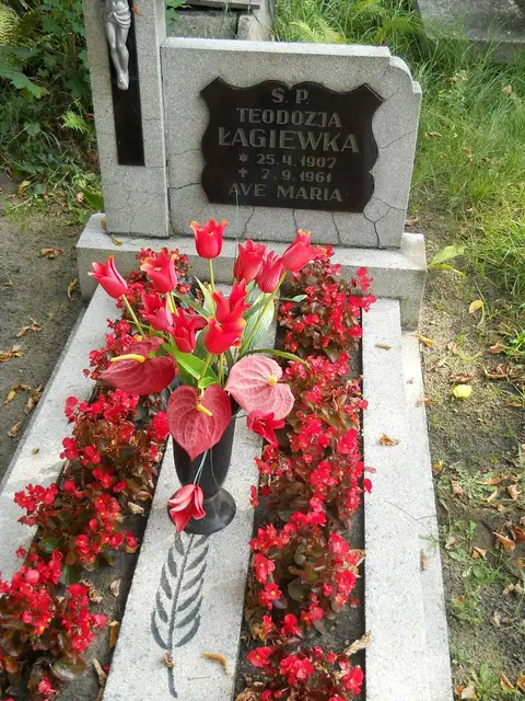 Zdjęcie grobu 15/26571