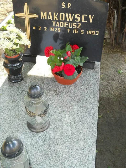 Zdjęcie grobu 8A/10729