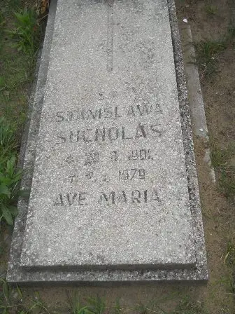Zdjęcie grobu 42/174