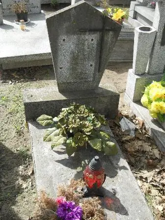 Zdjęcie grobu 27/100