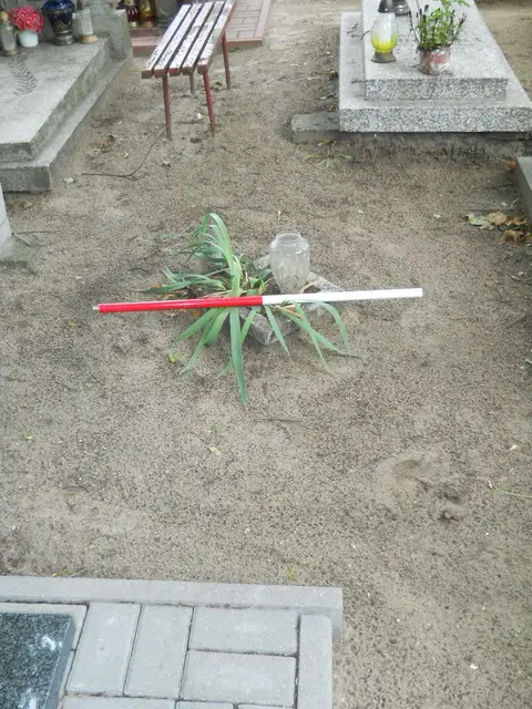 Zdjęcie grobu 13/29645