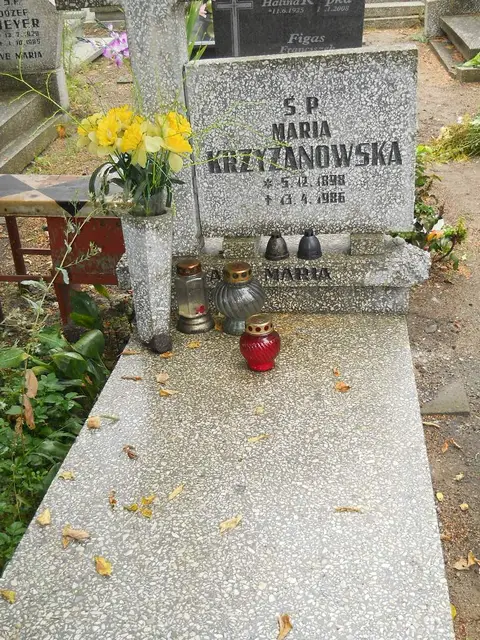 Zdjęcie grobu naprzeciw zakrystii/9619/25