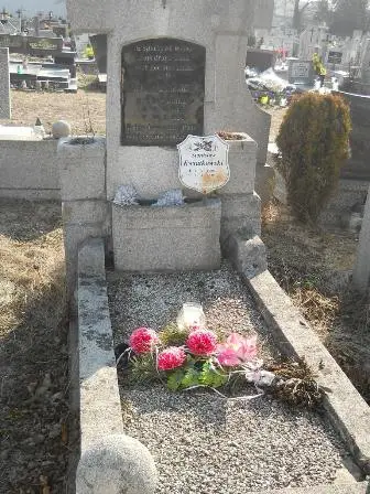 Zdjęcie grobu 2/9
