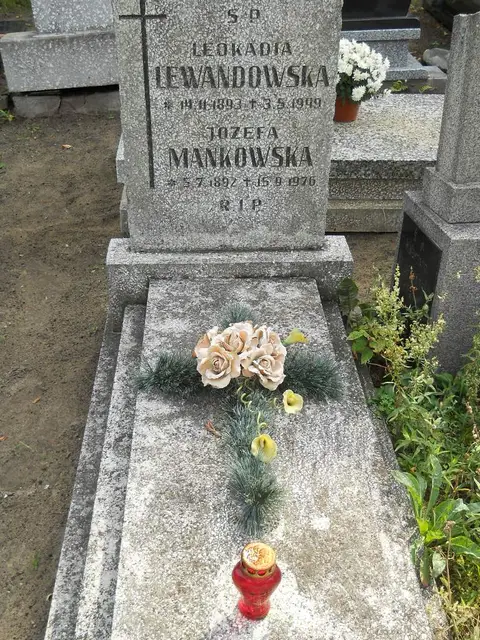 Zdjęcie grobu 16/26425