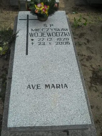 Zdjęcie grobu 9/100