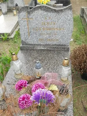 Zdjęcie grobu 36/100