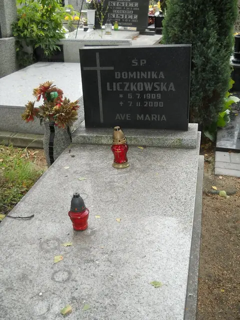 Zdjęcie grobu 16/26139