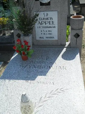 Zdjęcie grobu 28/202
