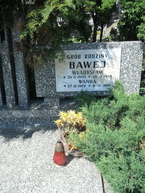 Zdjęcie grobu 7/11826
