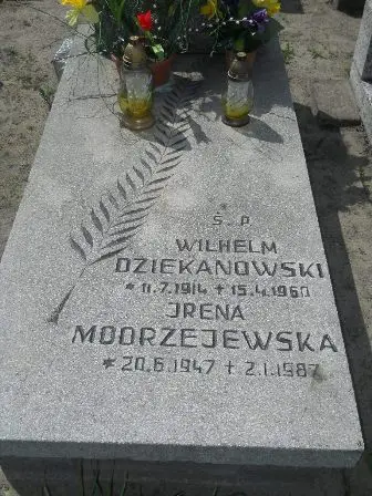 Zdjęcie grobu 20/485