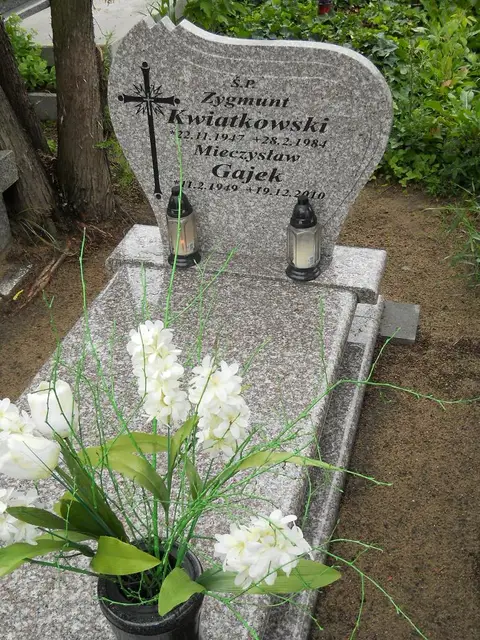 Zdjęcie grobu 24/23323