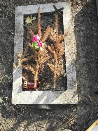 Zdjęcie grobu 100/100
