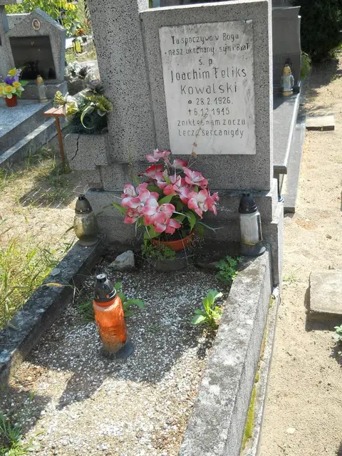 Zdjęcie grobu 14/27516