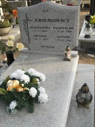 Zdjęcie grobu 10/100