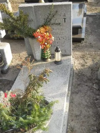 Zdjęcie grobu 10/100