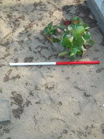 Zdjęcie grobu 9/100