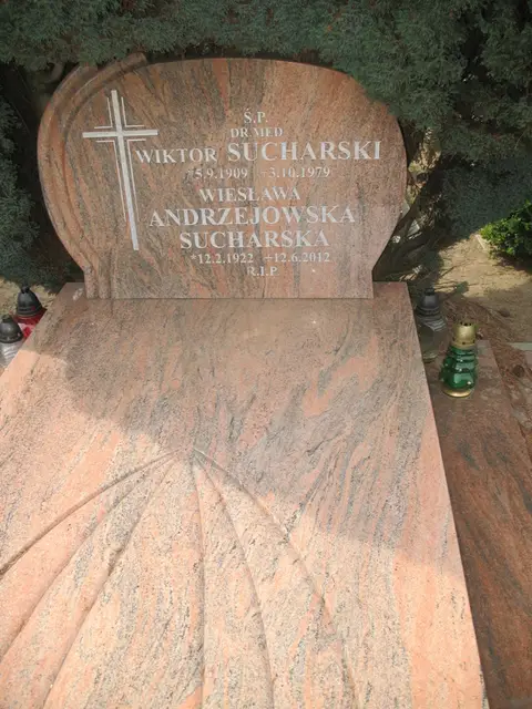 Zdjęcie grobu 7/10892