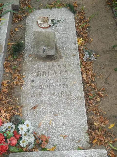 Zdjęcie grobu 19/28568