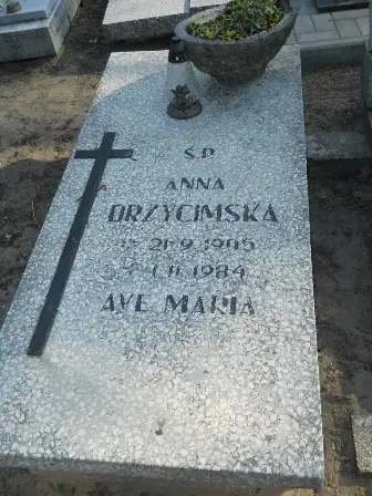 Zdjęcie grobu 9/100
