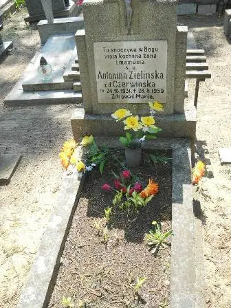 Zdjęcie grobu 30/166