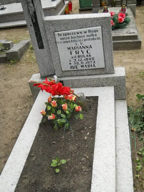 Zdjęcie grobu 12/29524