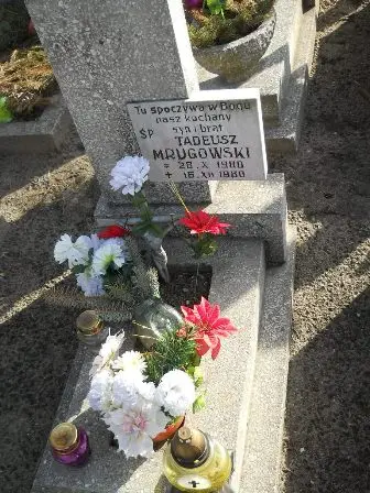 Zdjęcie grobu 6/531