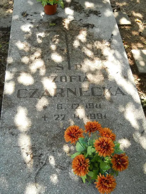 Zdjęcie grobu 18/28308