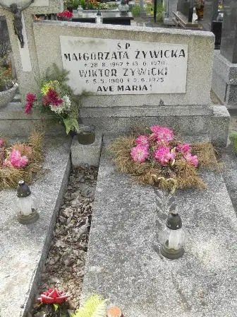 Zdjęcie grobu D/93,94