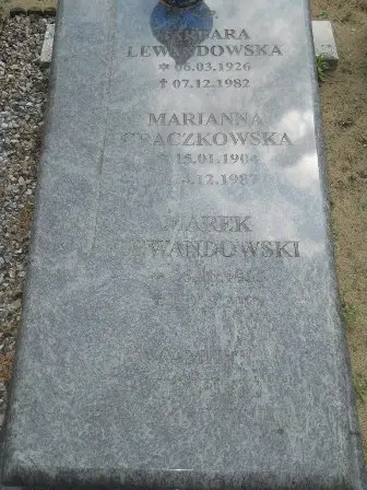 Zdjęcie grobu 43/286.287