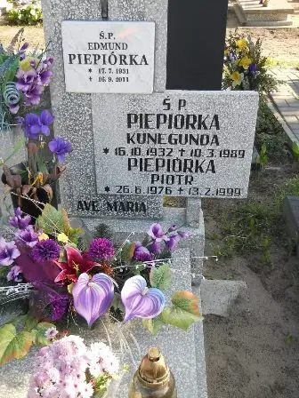 Zdjęcie grobu 45/325