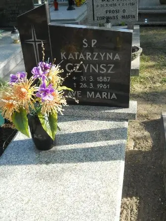 Zdjęcie grobu 31/58