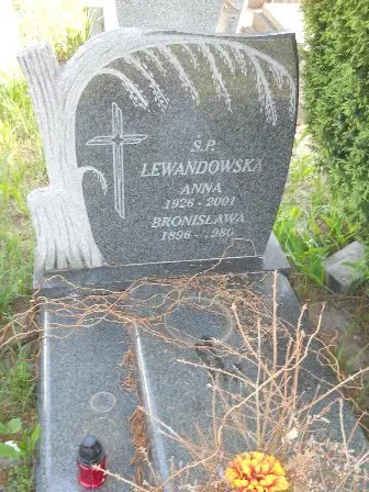Zdjęcie grobu 20/100
