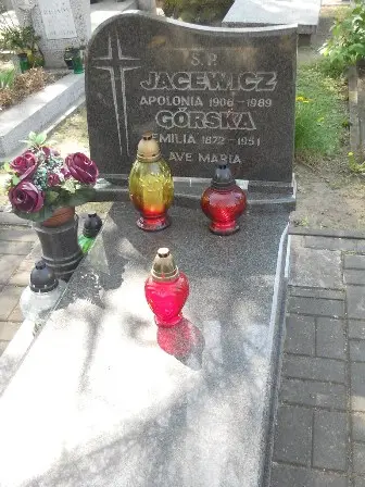 Zdjęcie grobu 11/100