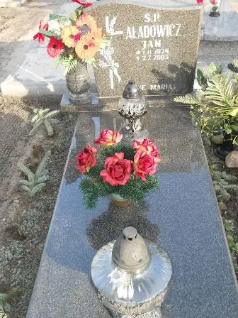 Zdjęcie grobu A/79gł